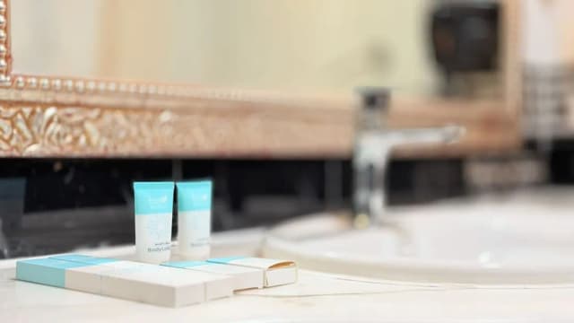 선데이 호텔 알 바르샤, 두바이, 몰 오브 더 에미리츠-디럭스룸, 킹사이즈침대 1개-16