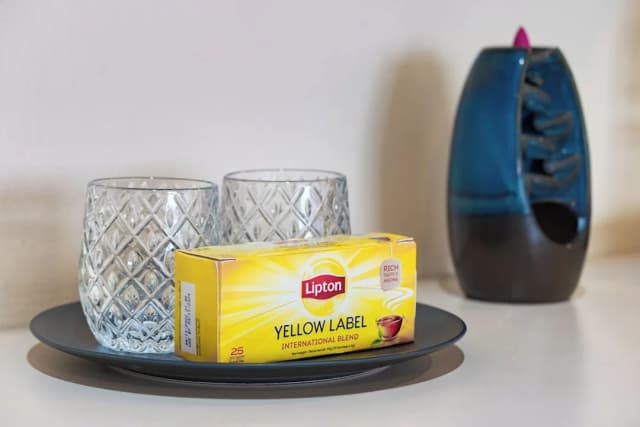 TYCOON PLACE GARDEN-特色套房, 1 张特大床, 花园景观-4