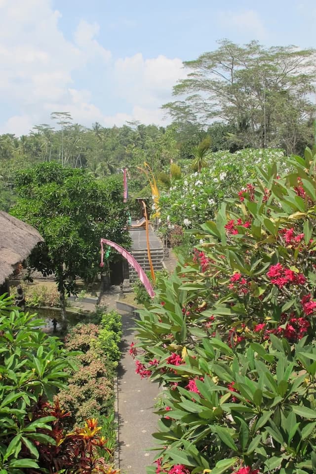 塔納梅拉藝術渡假村-豪華開放式客房, 陽台-6