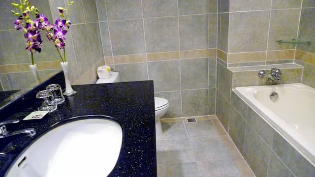 Asia Paradise Hotel-高级房, 1 张双人床或 2 张单人床-6