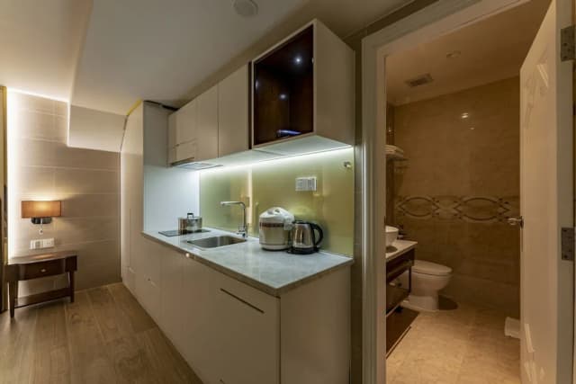 蘇蘇黃金樹飯店及出租公寓-開放式客房 (Basement Apartment)-9