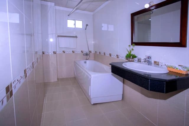 나이스 스완 호텔-디럭스룸, 시내 전망-4