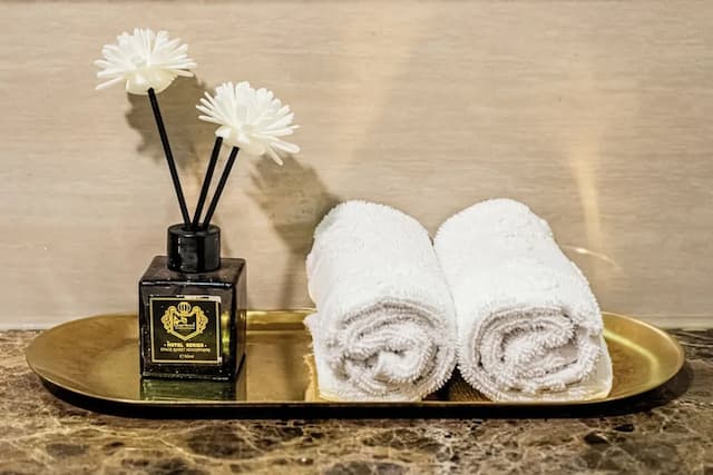 你好西貢水療酒店-豪華雙人房 (with Window)-12