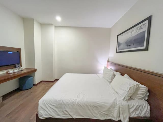 중앙 호텔 & 스파-스탠다드 더블룸, 창문 없음-2