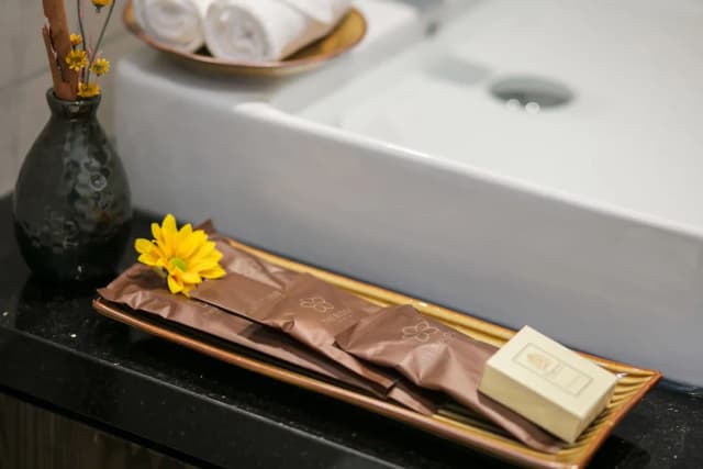 河內布魯姆酒店-普通套房, 1 間臥室, 浴缸, 城市景-6