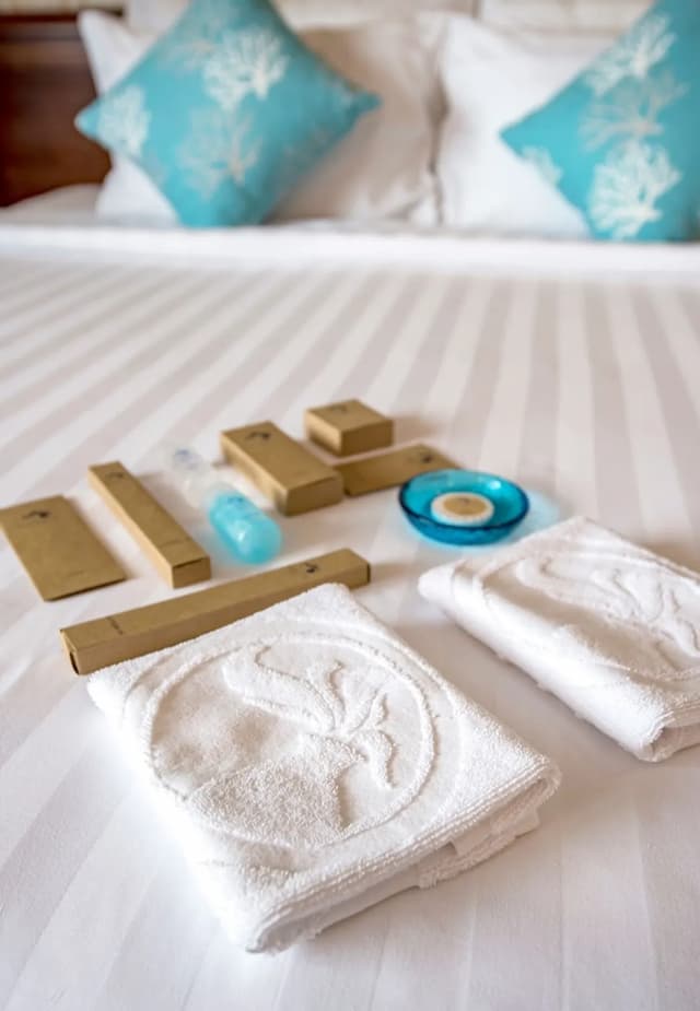 アクアリ ホテル-プレミア ダブルルーム (Deluxe)-11