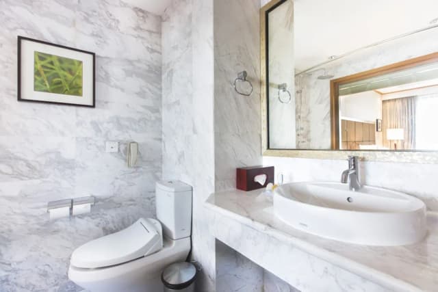 河內希爾頓花園酒店-客房, 2 張單人床, 城市景-6