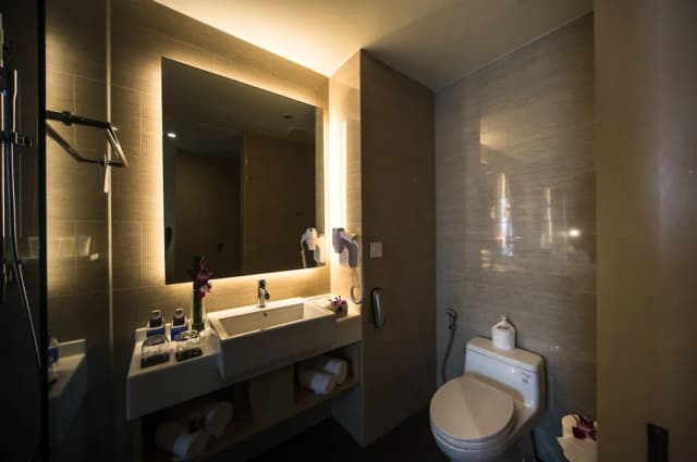 西貢河畔自由中心酒店-豪華客房 (Room Only)-4