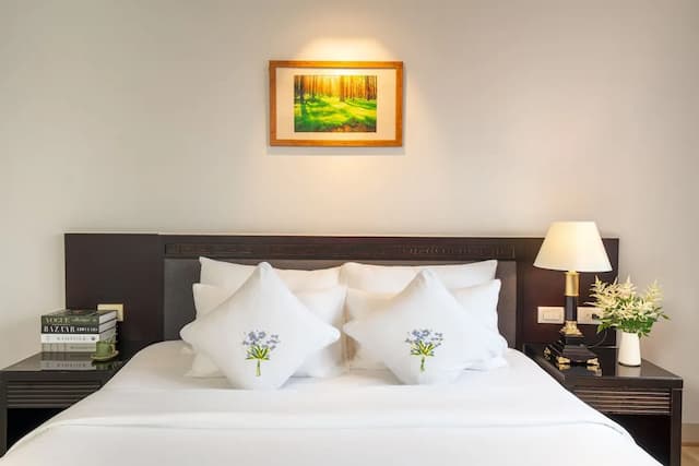 西貢阿拉貢酒店-套房 (Ben Thanh Serenity)-3