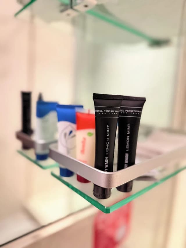 ホテル ミラージュ ブルックリン-デラックス シングルルーム-9