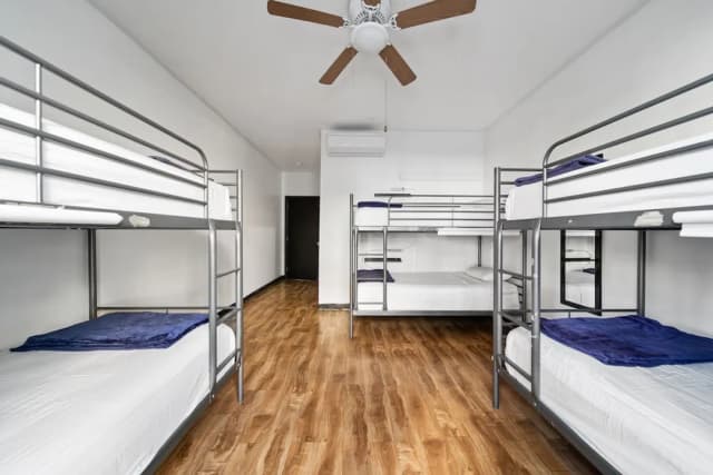 새메선 할리우드 - 호스텔-공용 도미토리-8