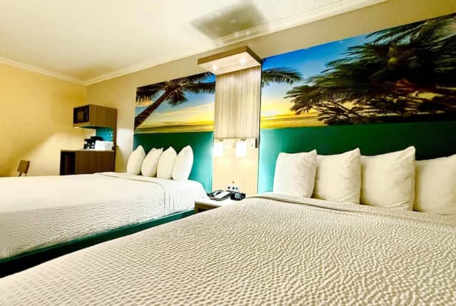 洛杉磯國際機場威尼斯海灘國王碼頭溫德姆戴斯飯店-套房, 1 間臥室, 非吸煙房-20