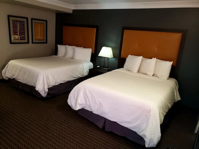 伯班克波托菲諾飯店-標準雙人房, 2 張加大雙人床-2