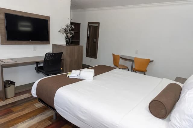 貝爾弗勞爾價值酒店-客房-9