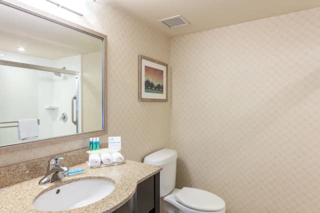 Holiday Inn Express Hotel & Suites Riverport Richmond by IHG-套房, 1 张特大床和 1 张沙发床-9