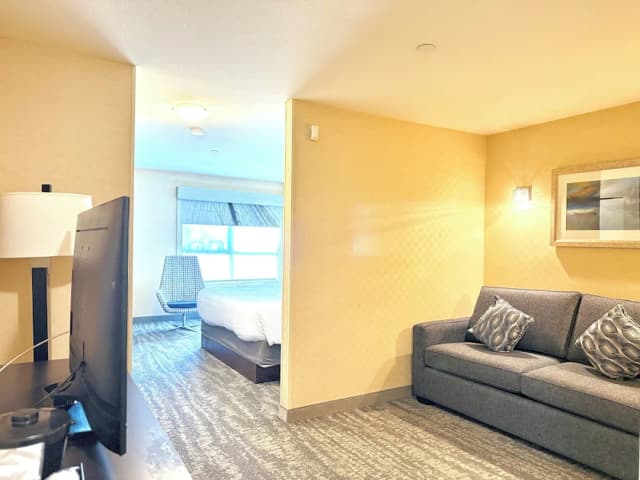 Holiday Inn Express Hotel & Suites Riverport Richmond by IHG-套房, 1 张特大床和 1 张沙发床-13