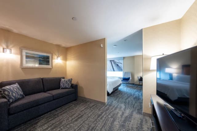 Holiday Inn Express Hotel & Suites Riverport Richmond by IHG-套房, 1 张特大床和 1 张沙发床-5