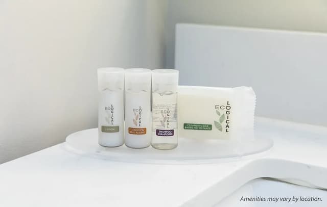 溫哥華市中心溫德姆戴斯酒店-雙人房-4