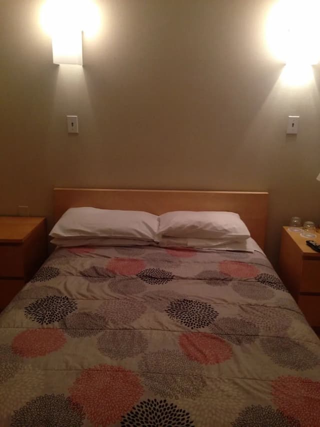 雷克斯飯店-標準客房, 1 張標準雙人床, 私人浴室 (Large Room)-1