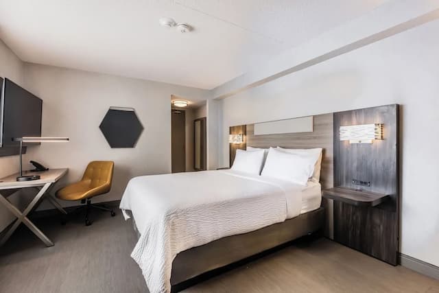 多倫多北約克智選假日酒店 (IHG 旗下酒店)-標準客房, 1 張加大雙人床, 轉角-1