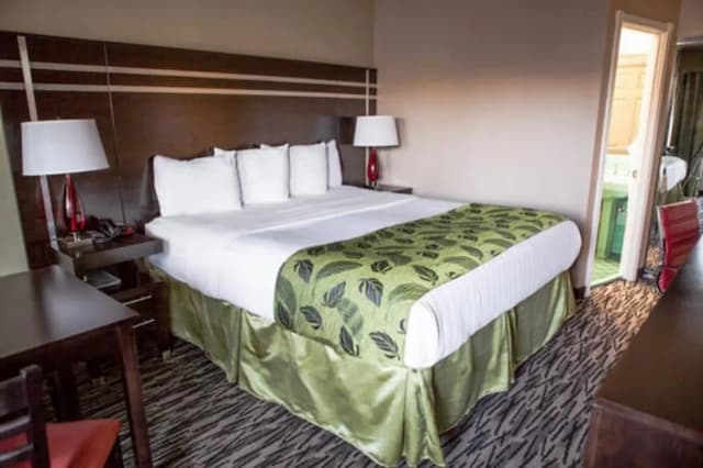 モーテル カプリ-スタンダード ルーム キングベッド 1 台-5