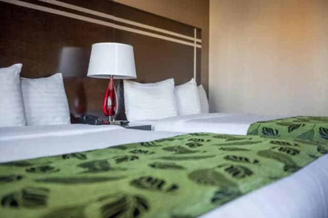 モーテル カプリ-スタンダード ルーム クイーンベッド 2 台-4