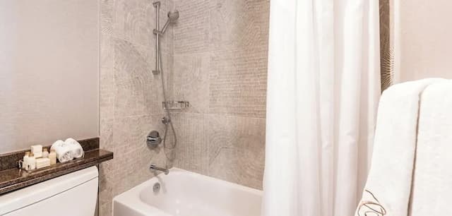 Carmana Hotel & Suites-Standard 1-Bedroom Suite (1 King)-5