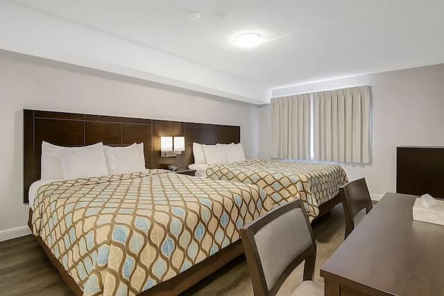 デラックス イン-スタンダード ルーム クイーンベッド 2 台-3