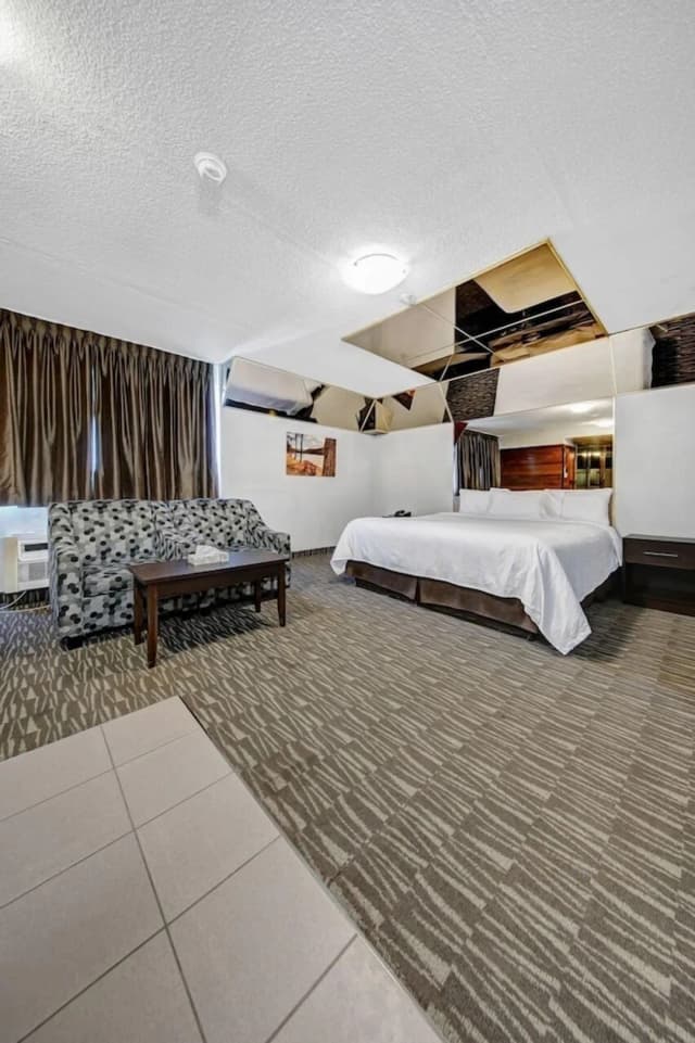 豪華飯店-套房, 非吸煙房-5