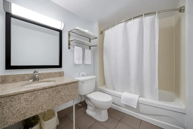 豪華飯店-套房, 非吸煙房-6