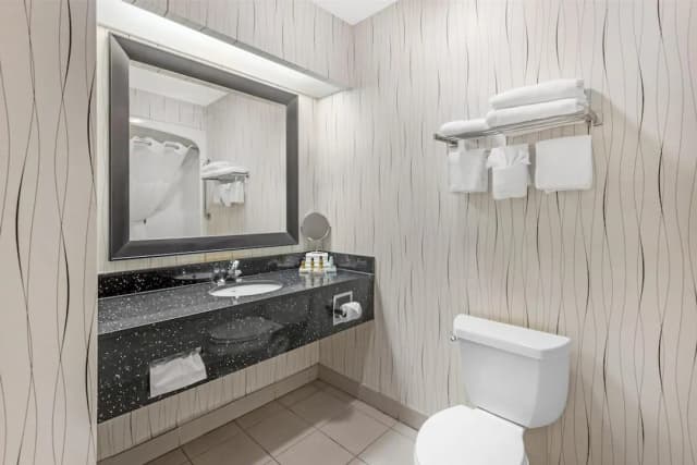 貝斯特韋斯特多倫多機場飯店-標準客房, 1 張加大雙人床, 非吸煙房, 冰箱和微波爐-7