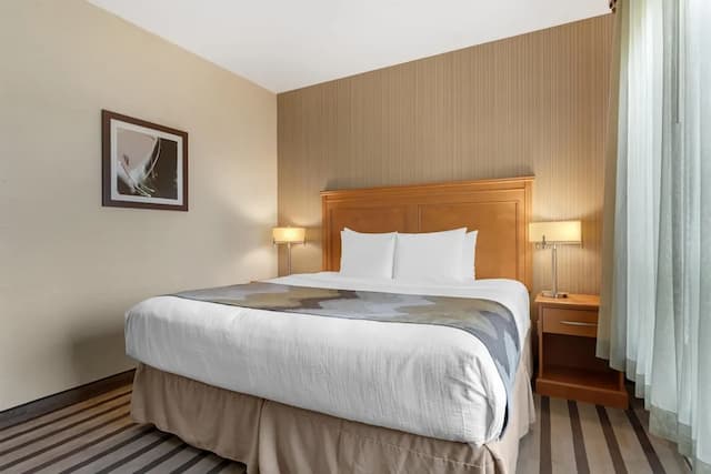 貝斯特韋斯特喬治國王套房酒店-套房, 1 張特大雙人床, 非吸煙房, 廚房 (Living Room;with Sofabed)-1