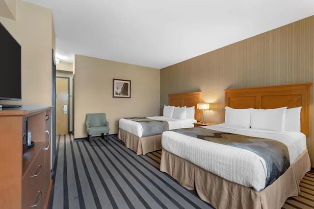 貝斯特韋斯特喬治國王套房酒店-標準客房, 2 張加大雙人床, 非吸煙房, 雪櫃和微波爐-2