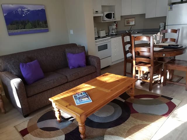 タイムズスクエアスイーツホテル-クラシック アパートメント クイーンベッド 1 台ソファーベッド付き-1