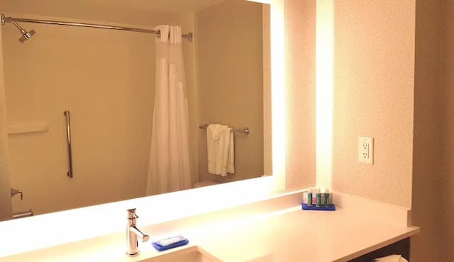 福利智選假日套房酒店 (IHG 旗下酒店)-套房, 1 間臥室-8