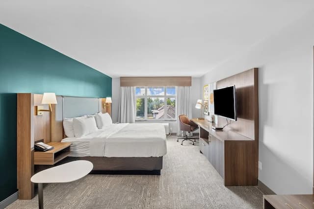 Holiday Inn Hotel & Suites Surrey East Cloverdale by IHG-Standard Room, 1 King Bed-2