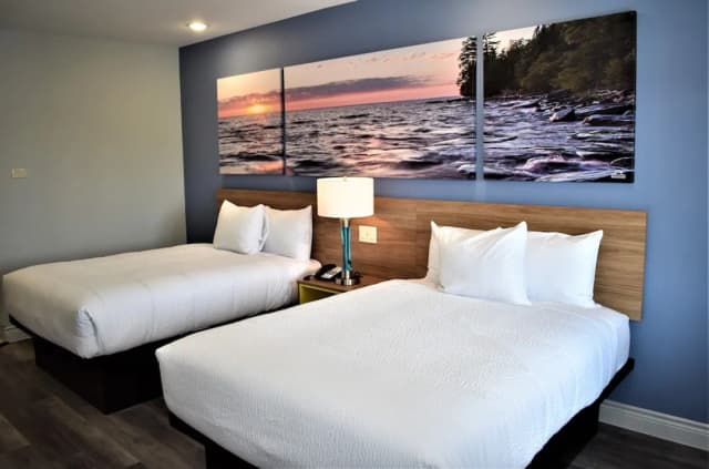 休斯敦大學 - 市中心溫德姆戴斯套房飯店-舒適客房, 2 張加大雙人床, 非吸煙房-3