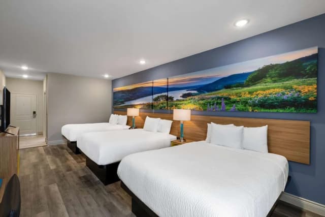 休斯敦大學 - 市中心溫德姆戴斯套房飯店-舒適客房, 多張床, 非吸煙房-7