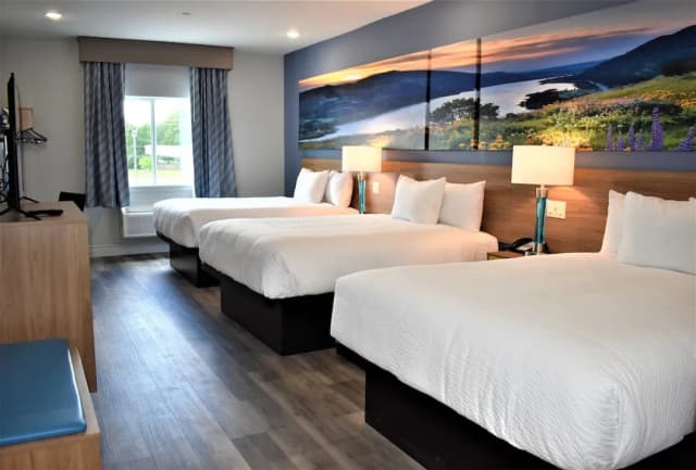 休斯敦大學 - 市中心溫德姆戴斯套房飯店-舒適客房, 多張床, 非吸煙房-6