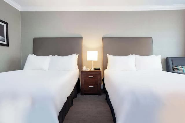 サンドマン ホテル バンクーバー エアポート-スタンダード ルーム ダブルベッド 2 台-4