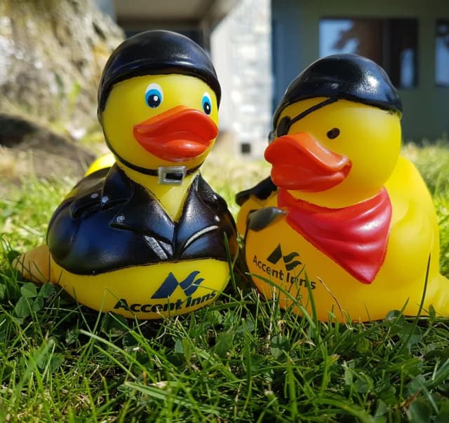 Accent Inns Burnaby-Two Queens-6