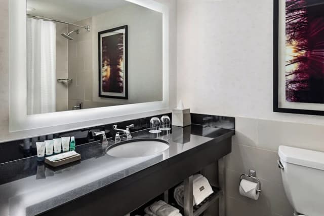 多倫多威斯汀海港城堡飯店-客房, 2 張標準雙人床-5