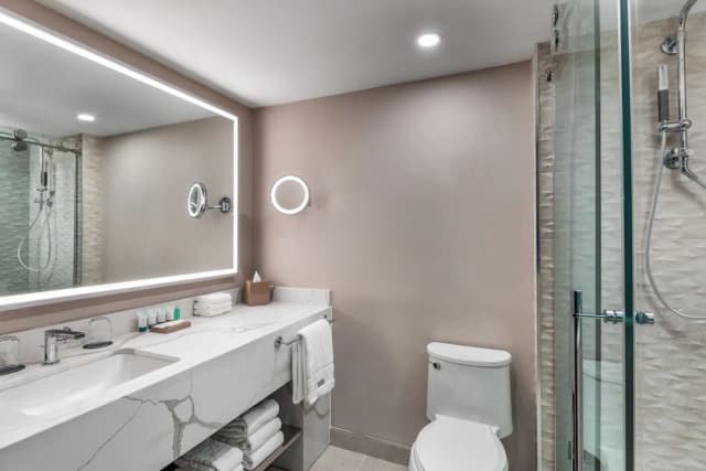 多倫多威斯汀海港城堡飯店-客房, 1 張特大雙人床 (View)-8