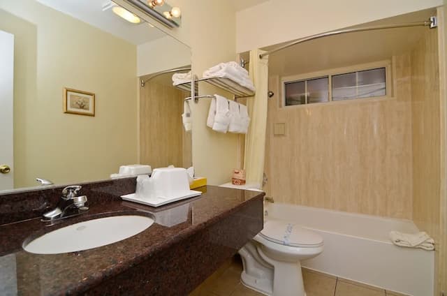 Rodeway Inn Los Angeles Convention Center-客房, 1 张特大床, 无烟房-3