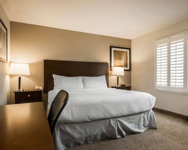 Rodeway Inn Los Angeles Convention Center-客房, 1 张特大床, 无烟房-2