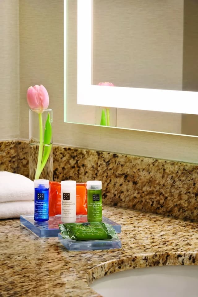 Radisson Hotel Vancouver Airport-标准房, 2 张大床, 无烟房-3