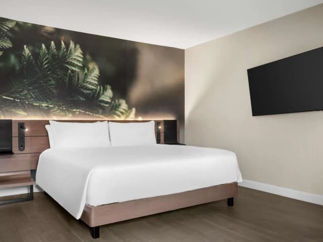 多倫多中心諾富特飯店-普通套房 (Executive)-4