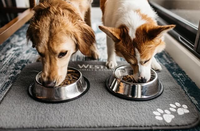 ザ ウェスティン ベイショア バンクーバー-スタンダード ルーム ダブルベッド 2 台-4