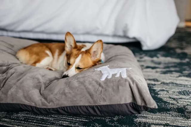 ザ ウェスティン ベイショア バンクーバー-スーペリア ルーム ダブルベッド 2 台 ガーデンビュー-8