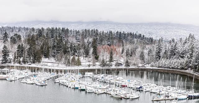 ザ ウェスティン ベイショア バンクーバー-デラックス ルーム キングベッド 1 台 マウンテンビュー-8